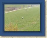 Welschensteinach 2006 079 * 1600 x 1200 * (704KB)